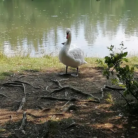 Naehe Redbull Ring * ユーデンブルク