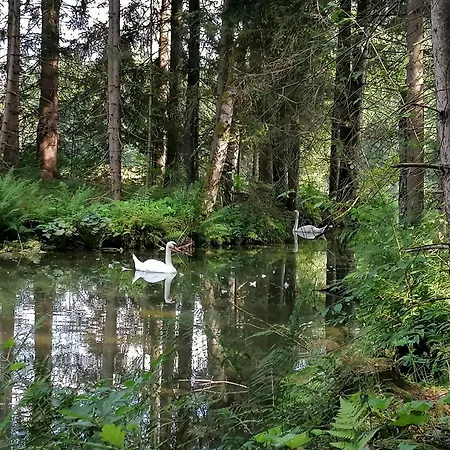 Naehe Redbull Ring דירה יודנבורג