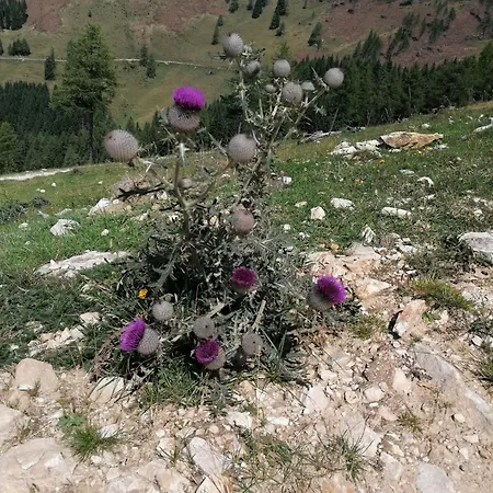 Naehe Redbull Ring アパート