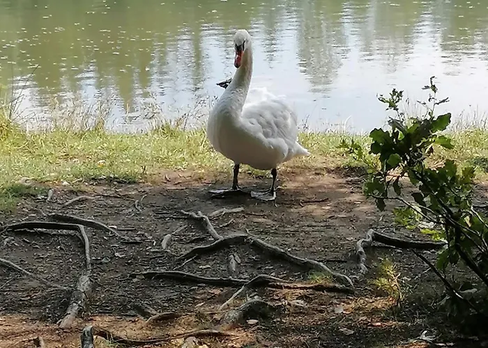 Naehe Redbull Ring * 尤登堡