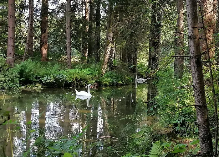 Naehe Redbull Ring Appartamento Judenburg