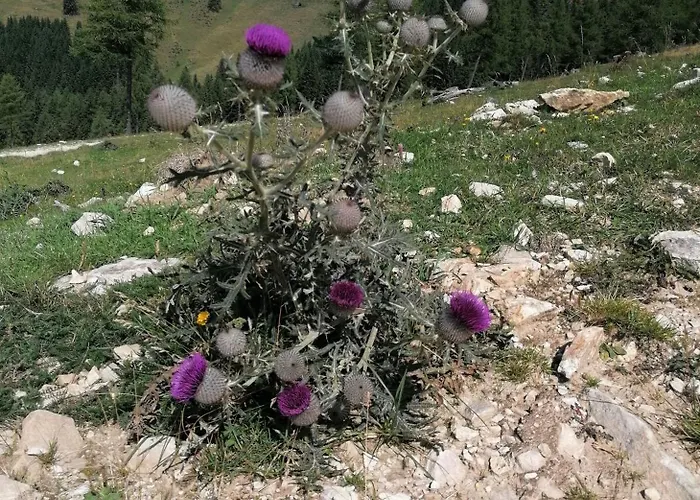 Naehe Redbull Ring Appartamento
